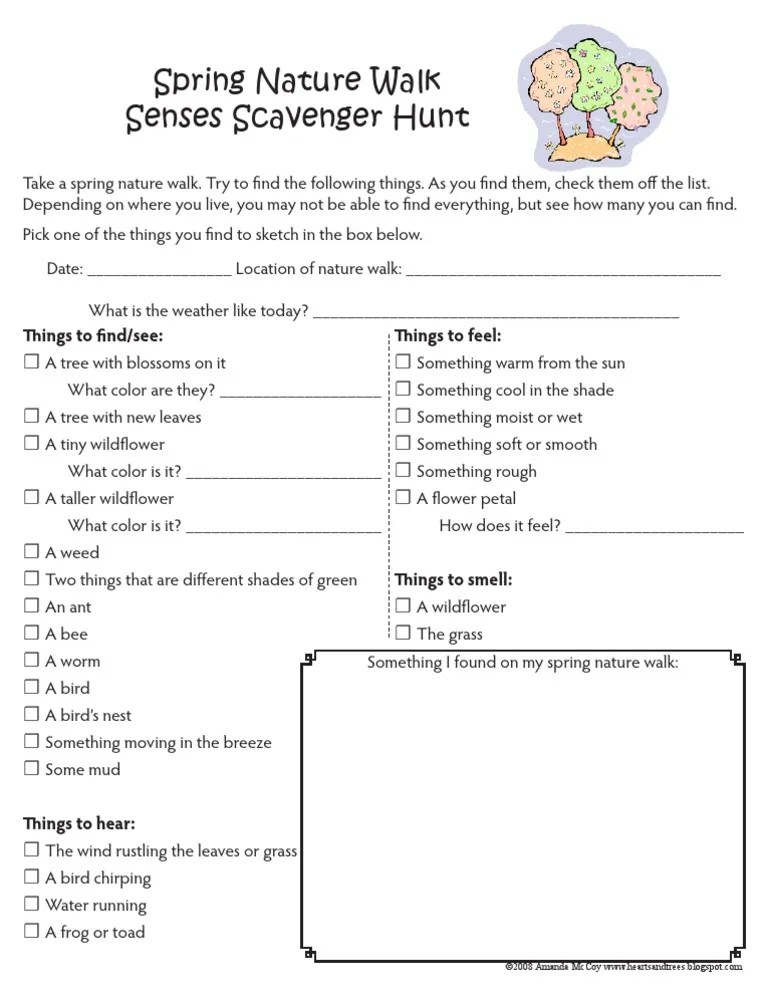 Nature Walk Worksheet