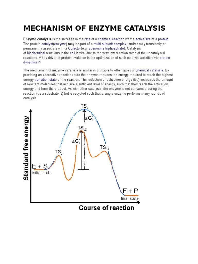 Mechanism of Enzyme Catalysis Madhu Active Site Enzyme