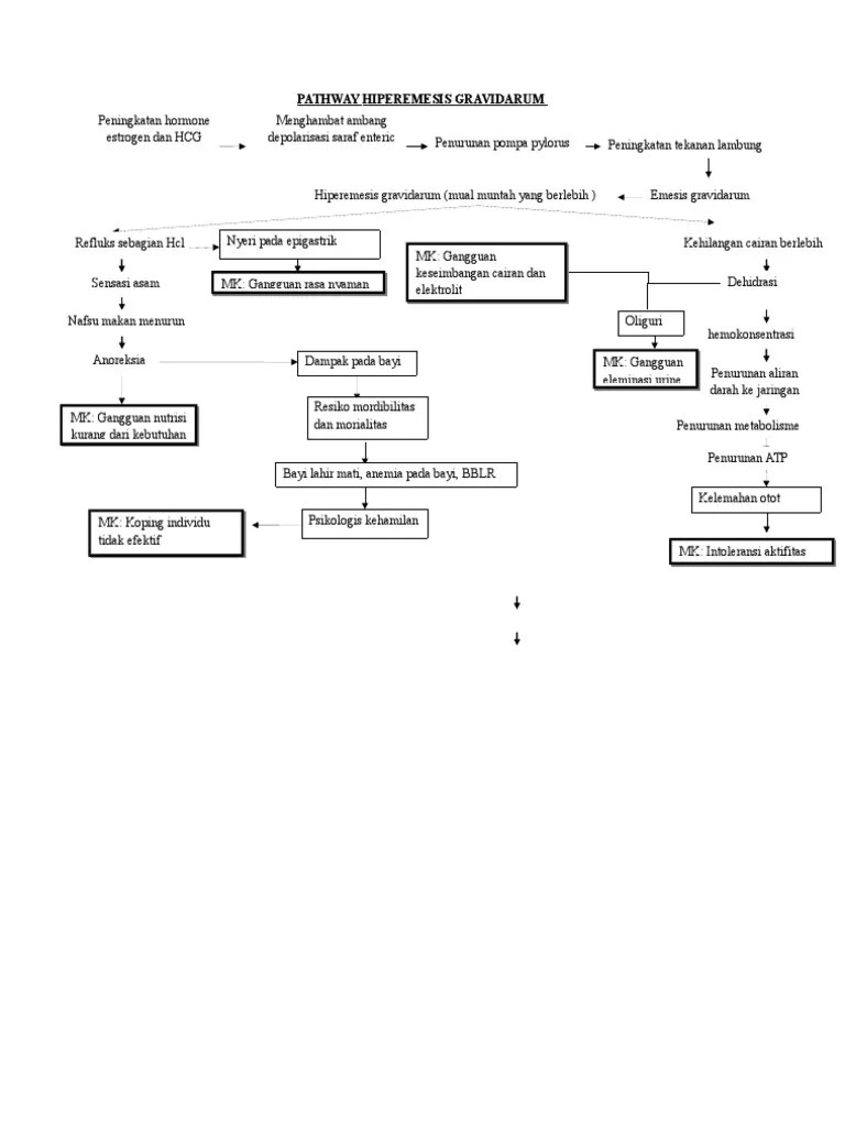 Pathway Hiperemesis Gravidarum PDF