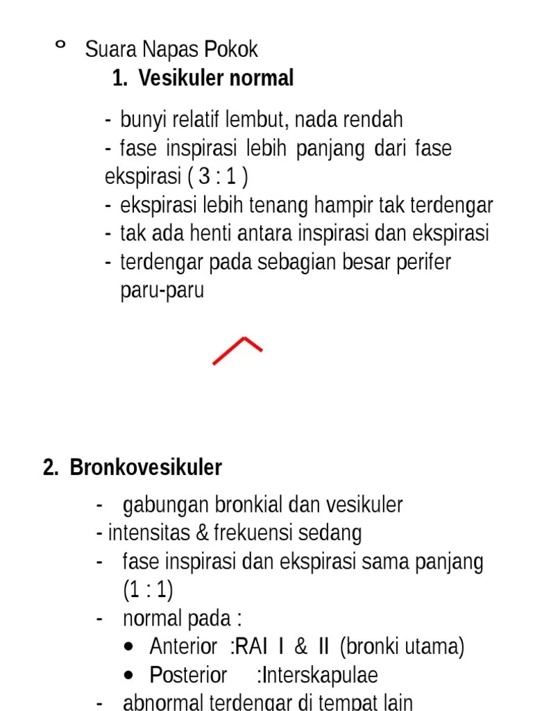 Pemeriksaan Paru | PDF