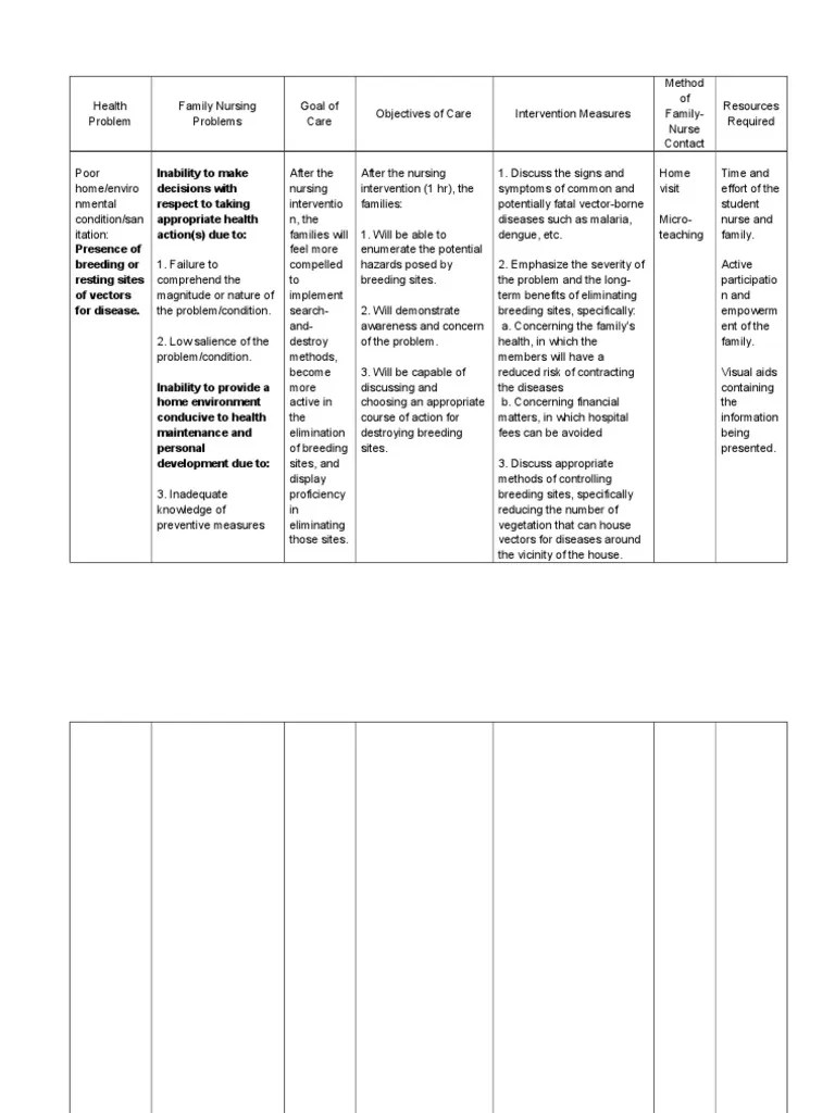 Family Care Plan (4) Sanitation Hygiene