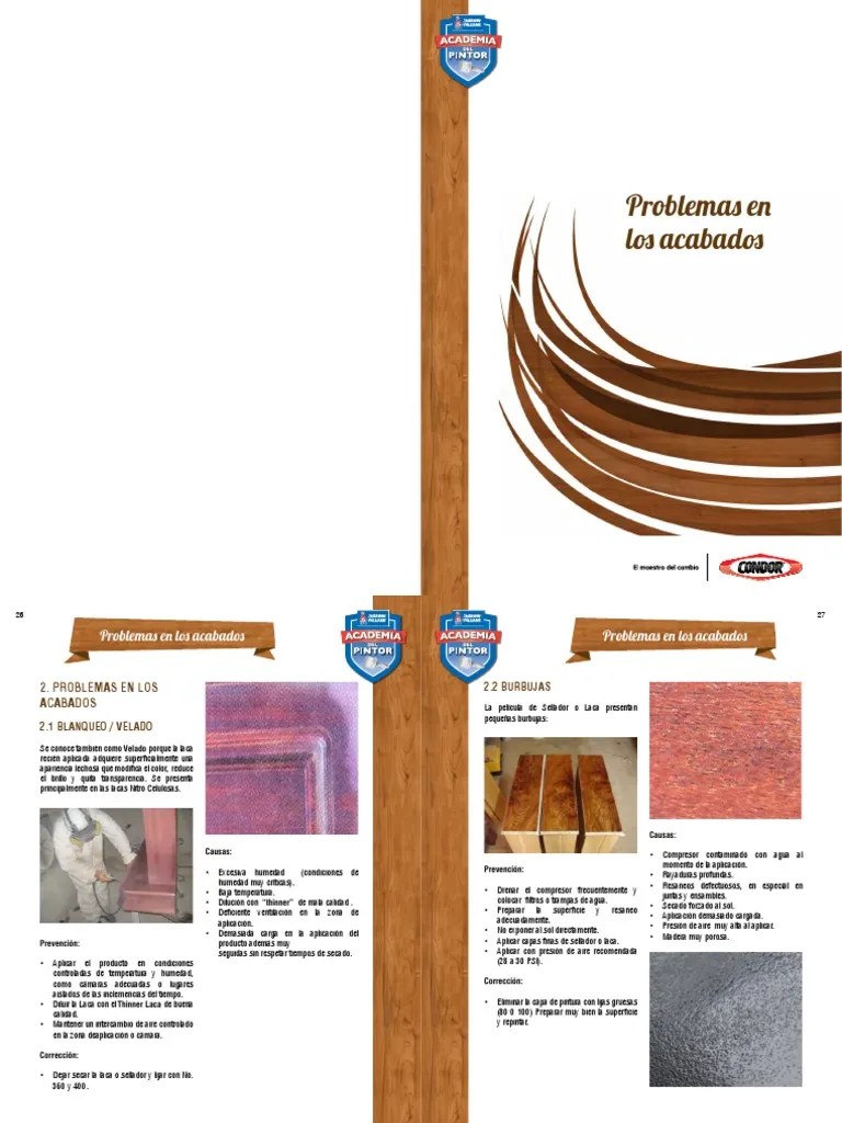 Manejo de Las Pinturas en Madera Pinturas Pintar