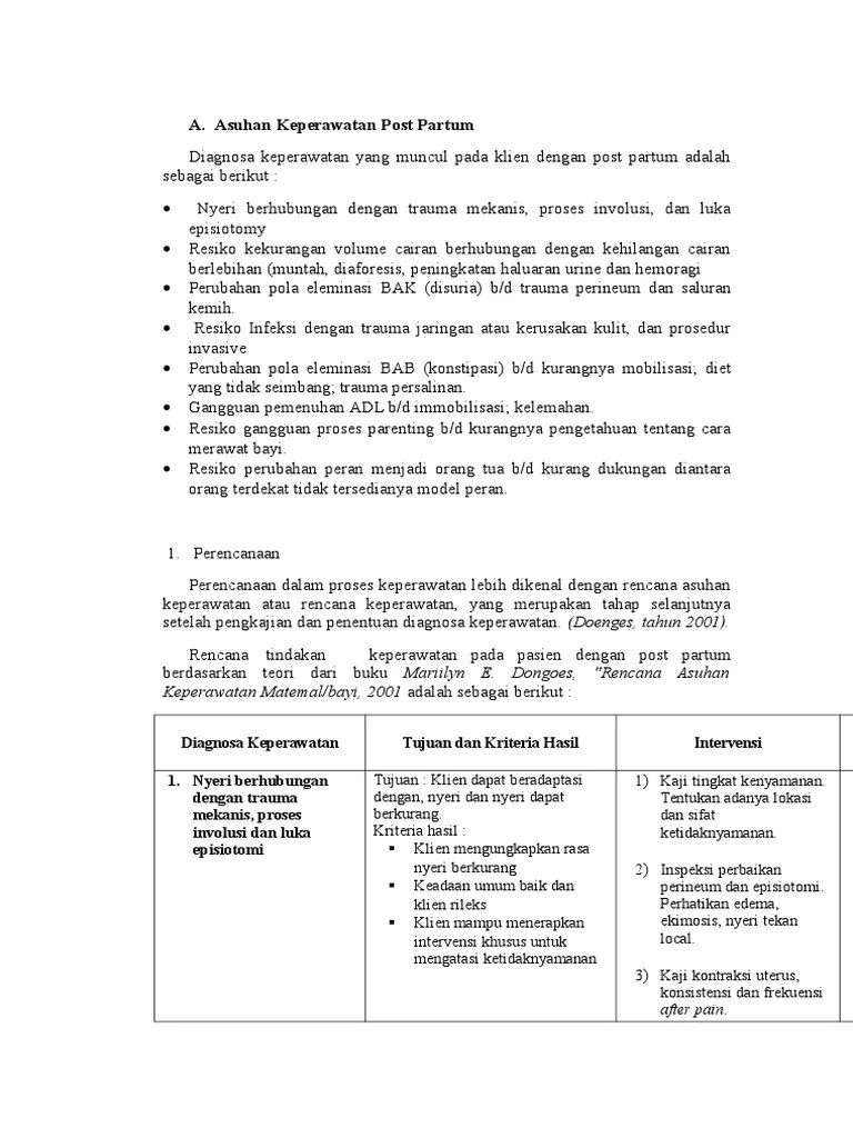 ASKEP POST NATAL PDF