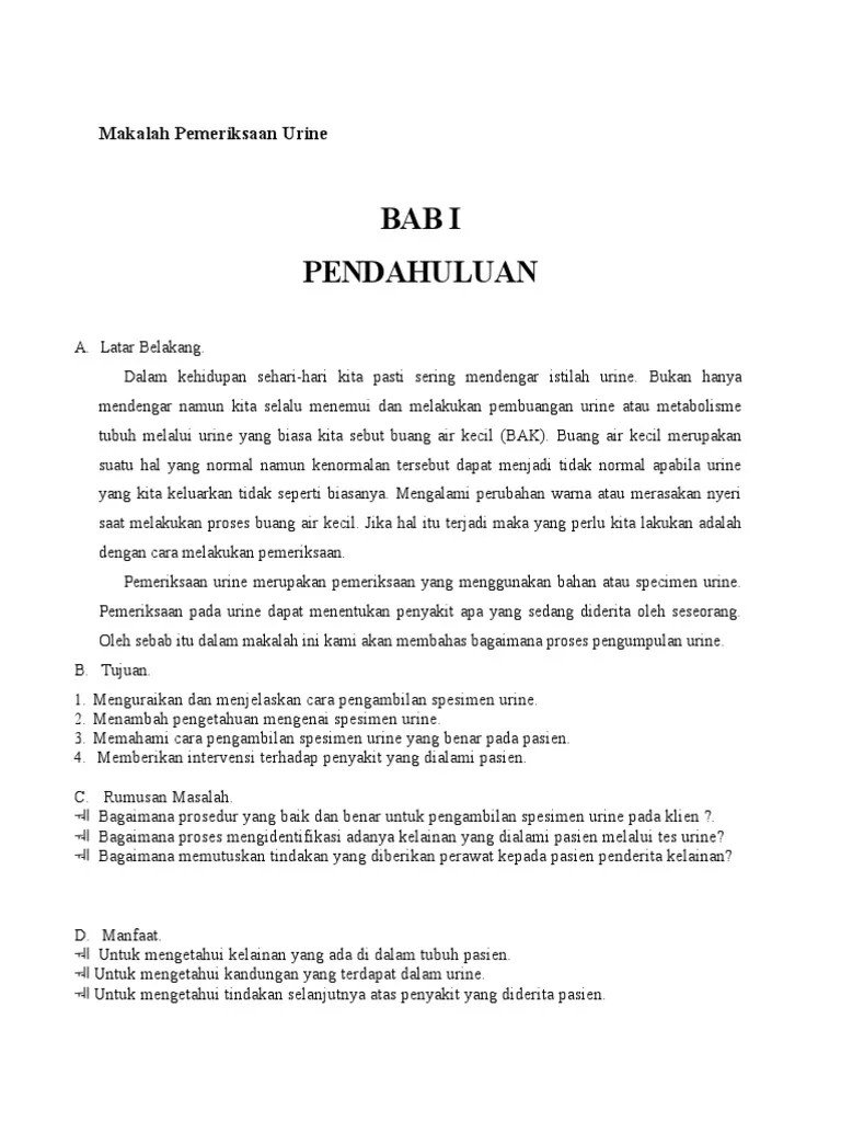 Makalah Pemeriksaan Urine
