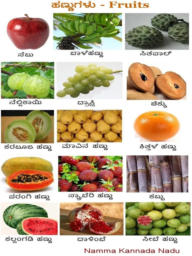 Fruit in Kannada PDF