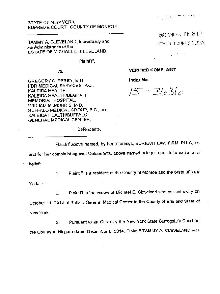 Complaint Filed in State Supreme Court PDF