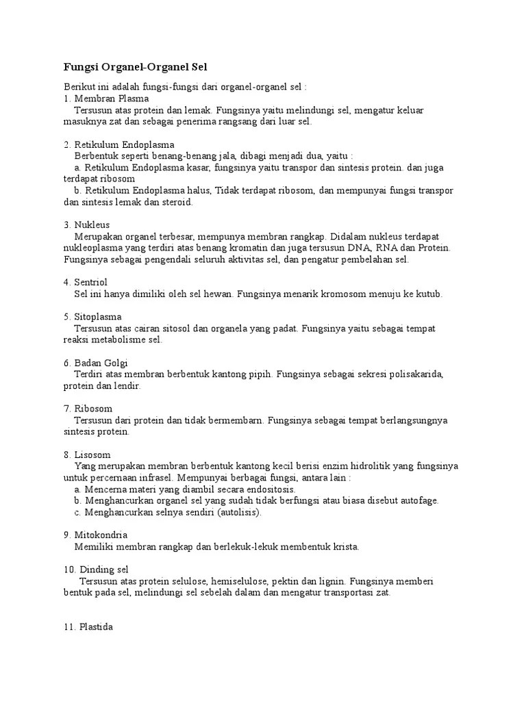 Lipatan Membran Dalam Kloroplas Membentuk Struktur Yang Disebut - Berbagi  Struktur