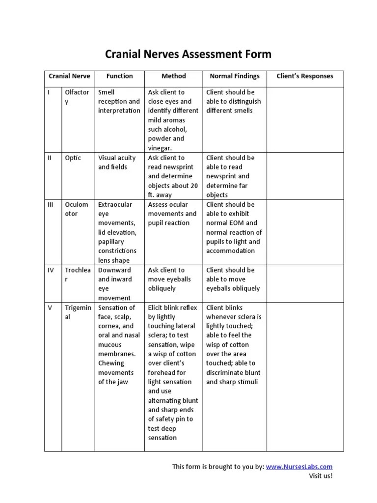 Cranial Nerves Assessment
