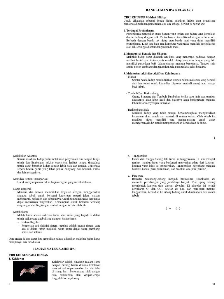Rangkuman IPA SD Kelas 6