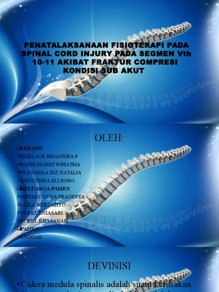 Penatalaksanaan Fisioterapi Pada Spinal Cord Injury