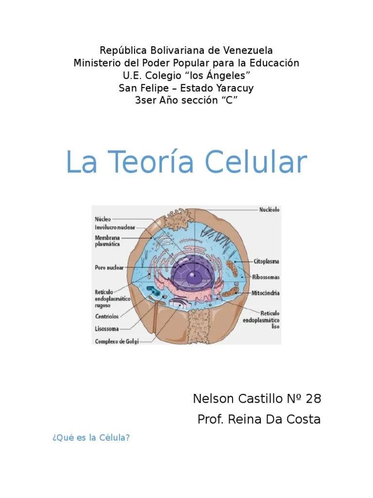 La Celula y el microscopio Citoplasma Vacuole