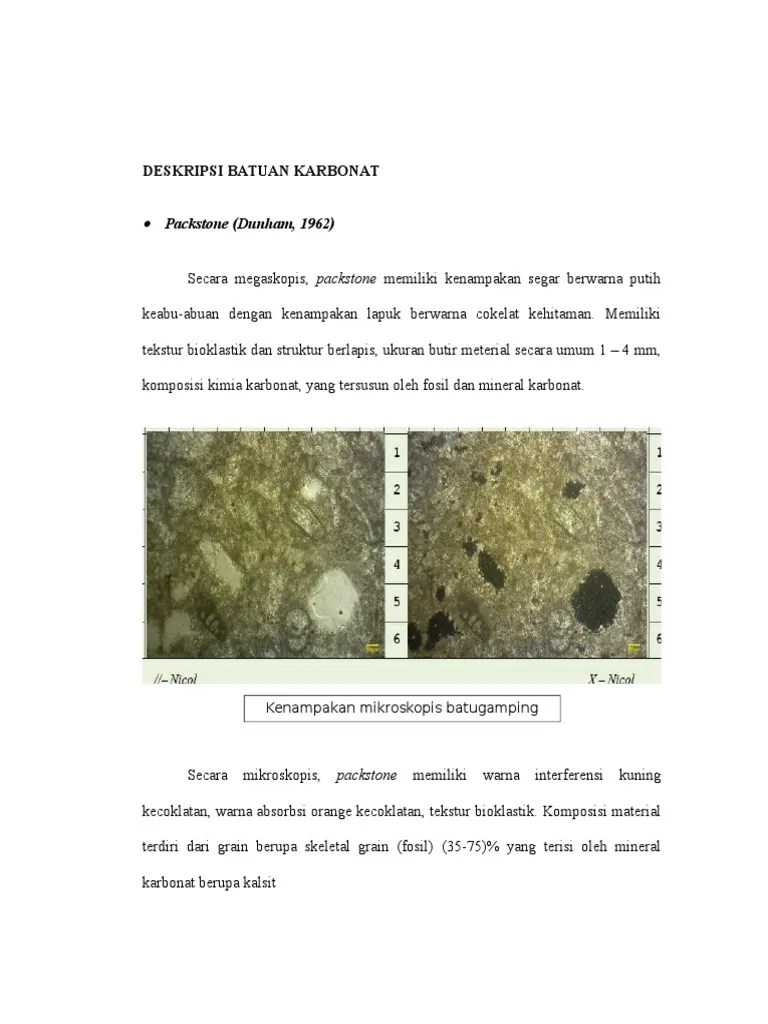 DESKRIPSI BATUAN KARBONAT
