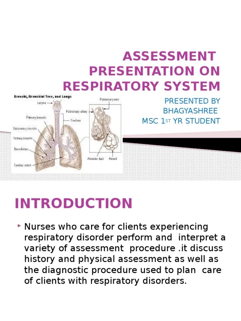 Ppt on Respiratory Assessment Lung Chronic Obstructive Pulmonary
