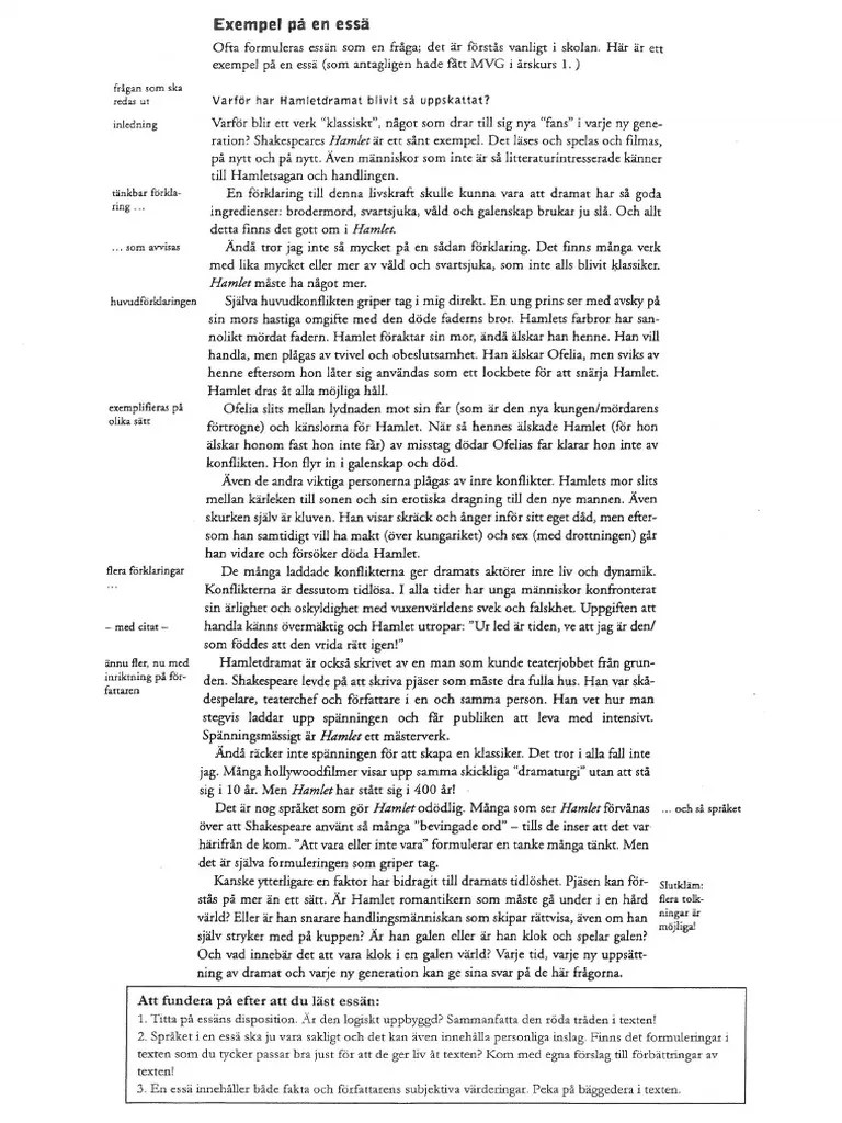 01 Exempel På en Essä