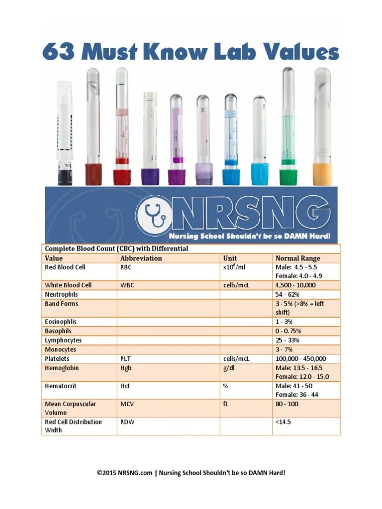 63 Lab Values Creatinine Blood