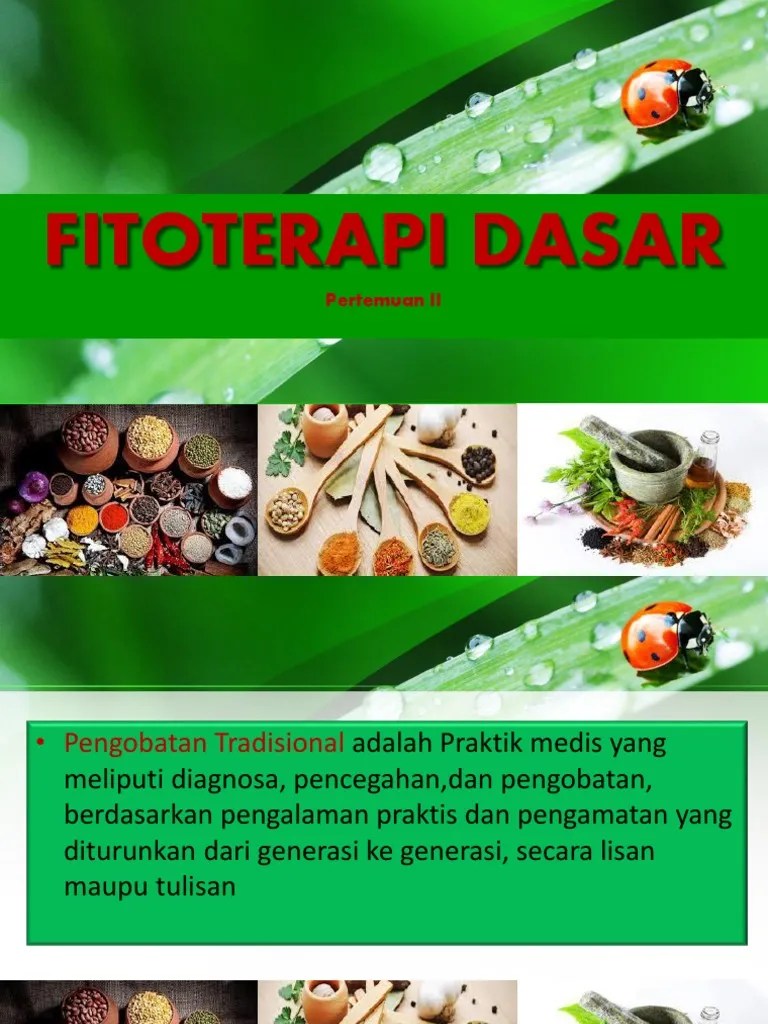 FITOTERAPI DASAR Pertemuan II PDF | PDF