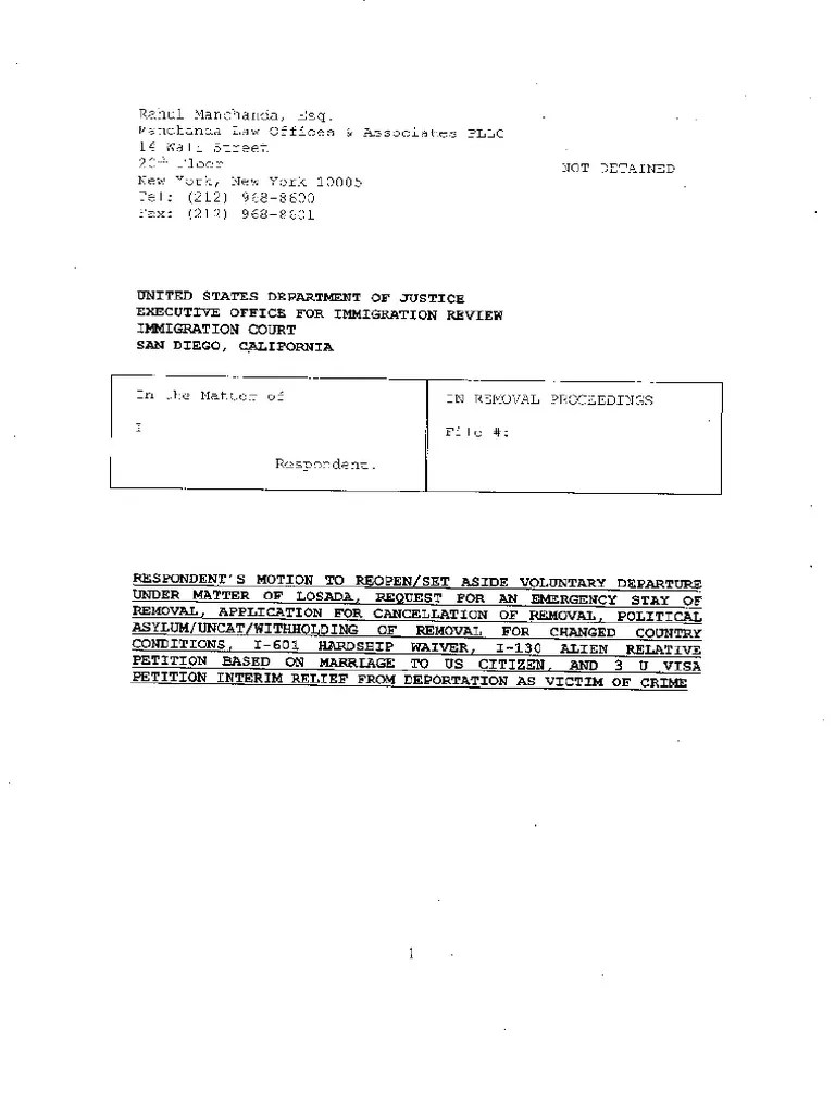 Immigration Court Motion to Reopen