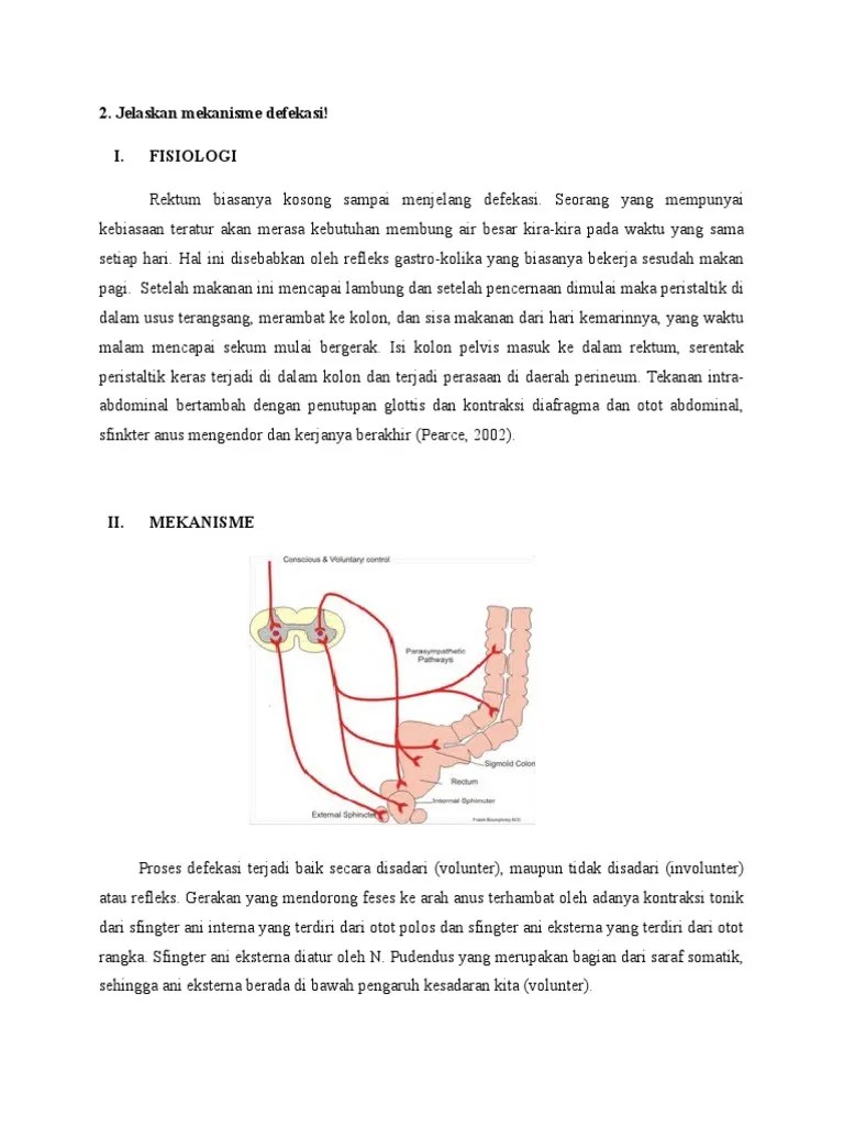 Mekanisme Defekasi | PDF