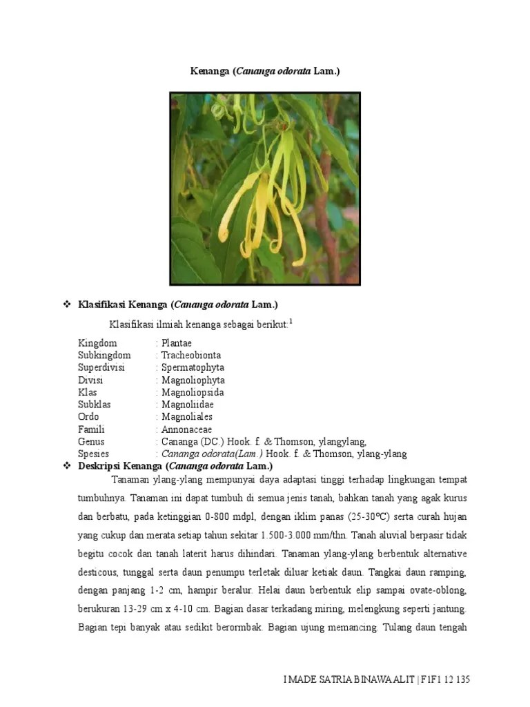 Kenanga (Cananga Odorata Lam.) | PDF