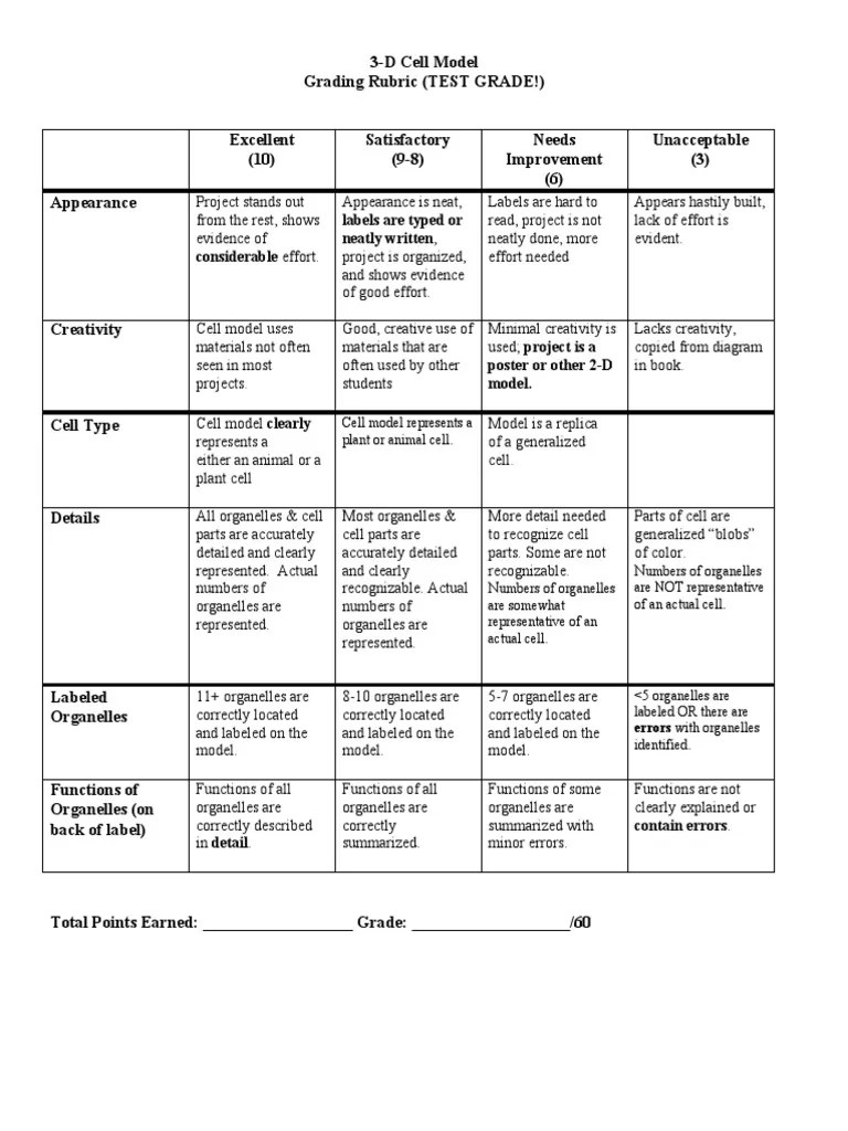 cell model project and rubric Endoplasmic Reticulum