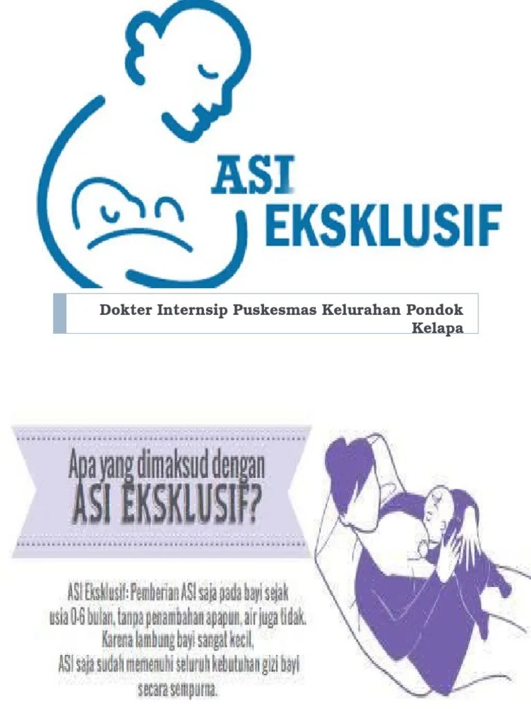 Penyuluhan Asi Eksklusif