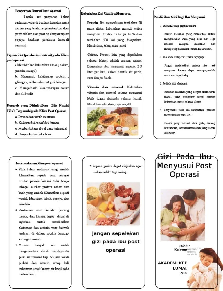 Leaflet Gizi Ibu Menyusui Baru PDF