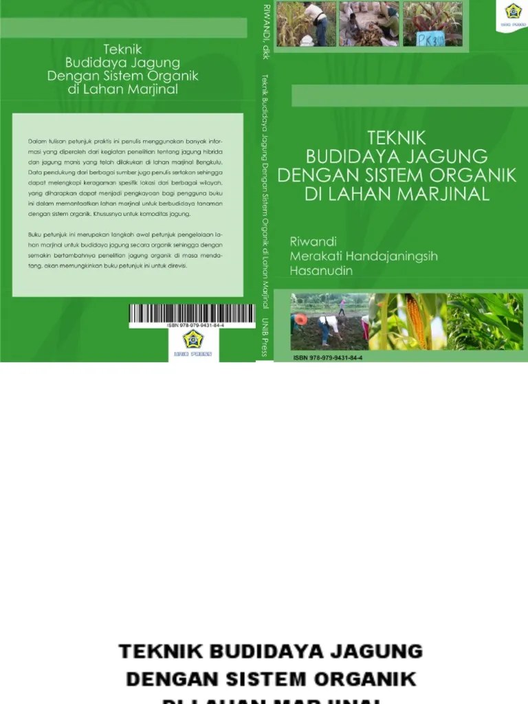 Jurnal Budidaya Tanaman Jagung Manis Pdf Berbagi Tanam