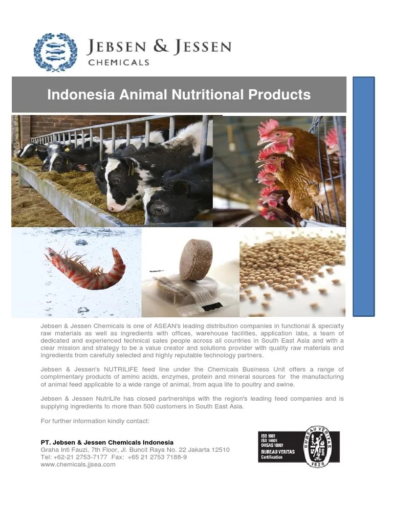 Feed Product List Animal Feed Proteins