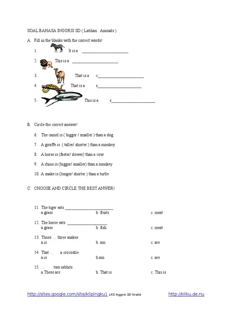 Soal Bahasa Inggris SD | PDF