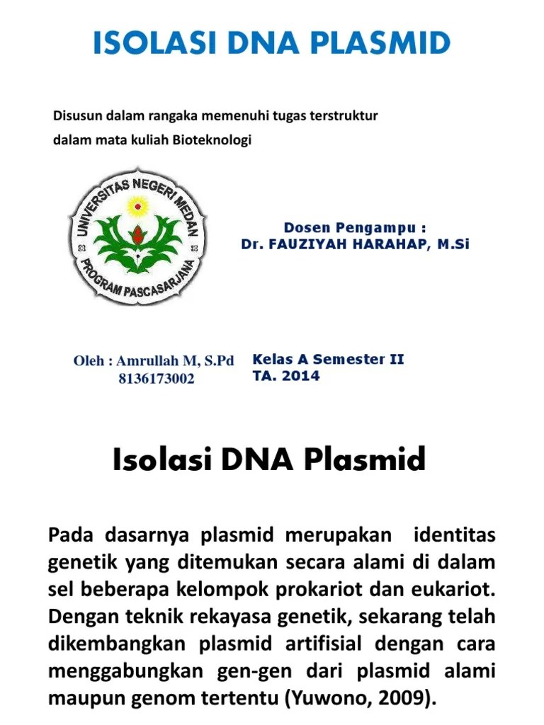 ISOLASI PLASMID PDF