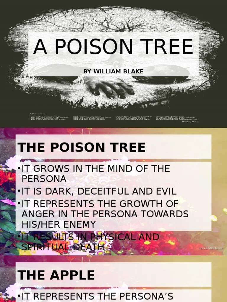 Symbolism A Poison Tree