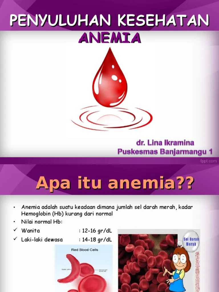 Penyuluhan Kesehatan Anemia Dan Kelainan Darah | PDF