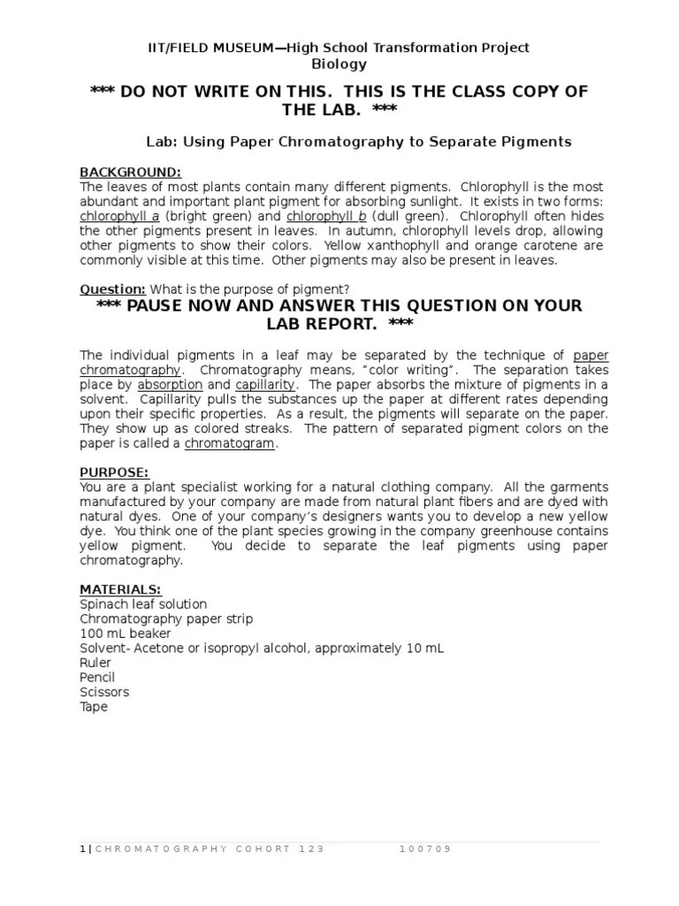 Paper Chromatography Lab Report | Pigment | Chlorophyll