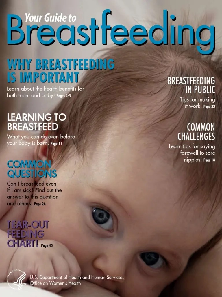 Essential Breastfeeding Guide Pdf Breastfeeding Wic