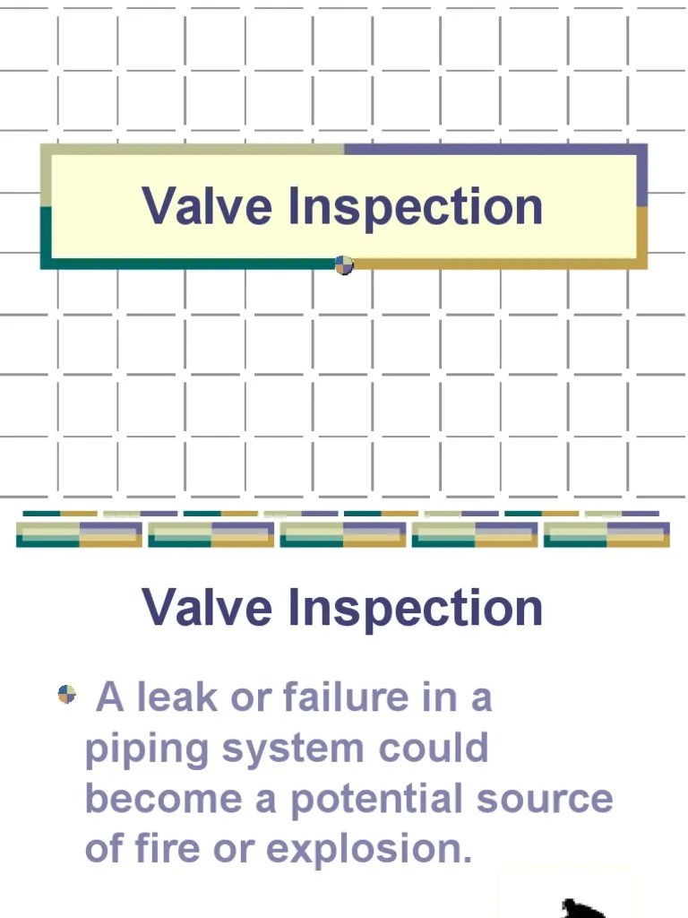 Valve Inspection PEW 101