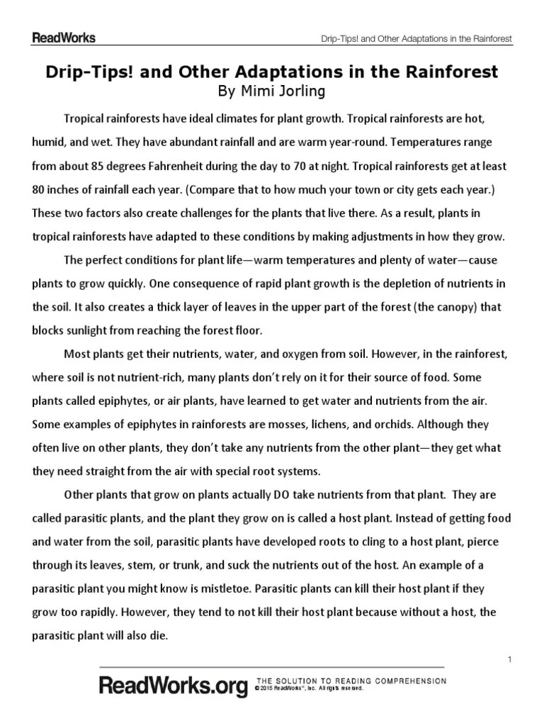 Drip Tips and Other Adaptations in The Rainforest 1070 Passage and