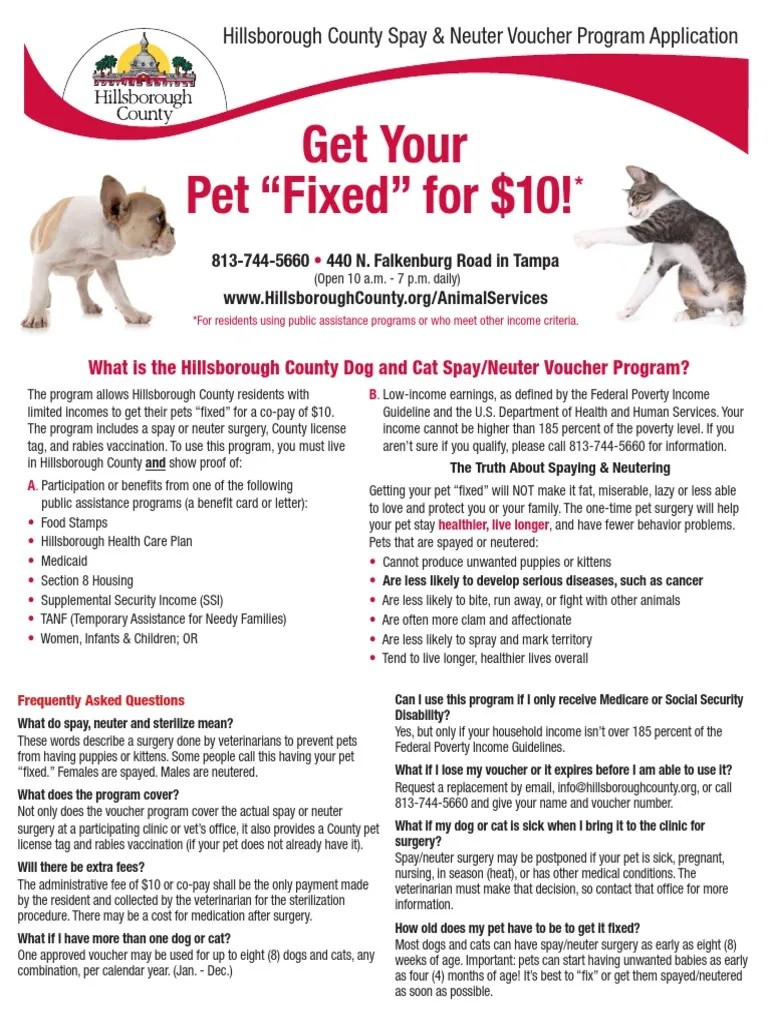 hillsborough co spay neuter voucher Neutering Dogs