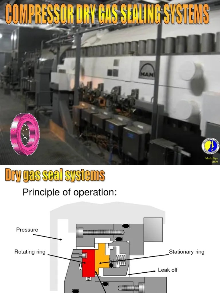 Compressor Dry Gas Seal System PDF Gas Compressor Bearing