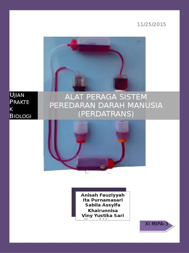 Alat Peraga Sistem Peredaran Darah Manusia | PDF