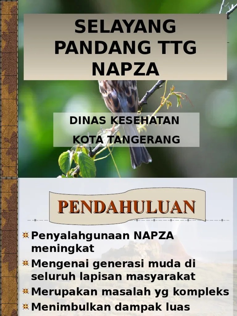 Materi Penyuluhan Napza Di SMP | PDF
