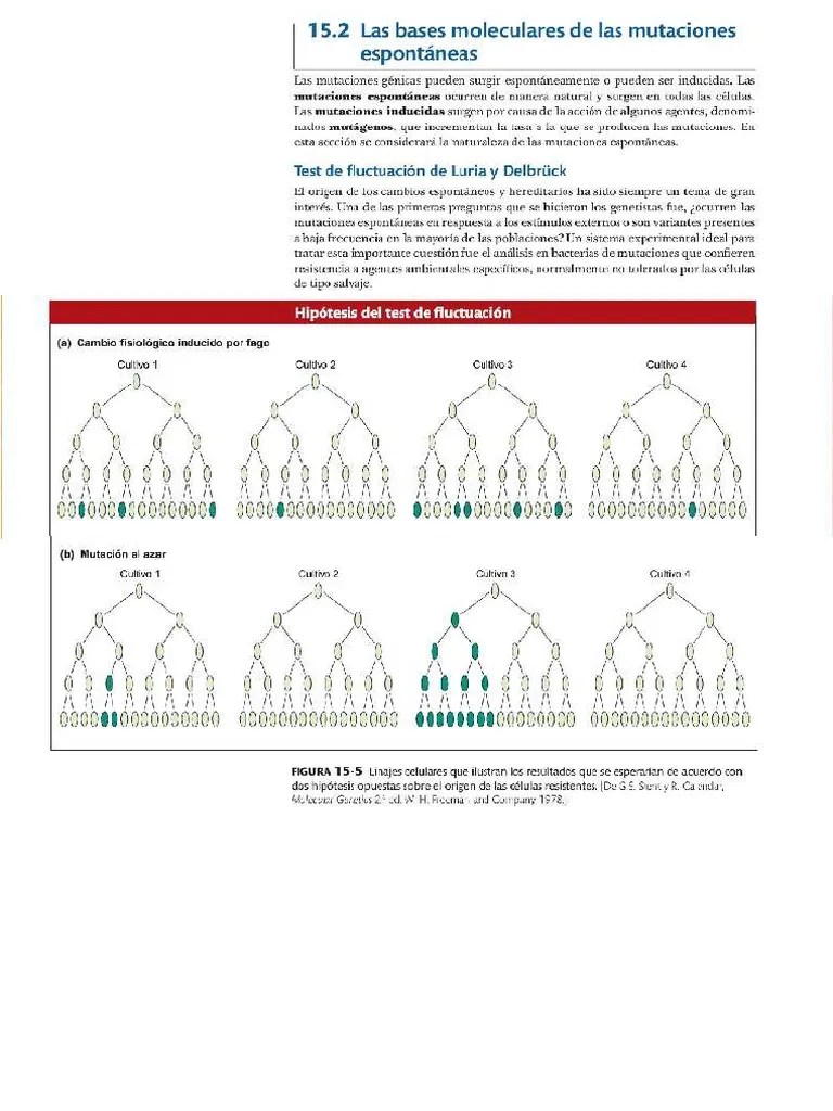 Test de La Fluctuación de Luria y Delbrück