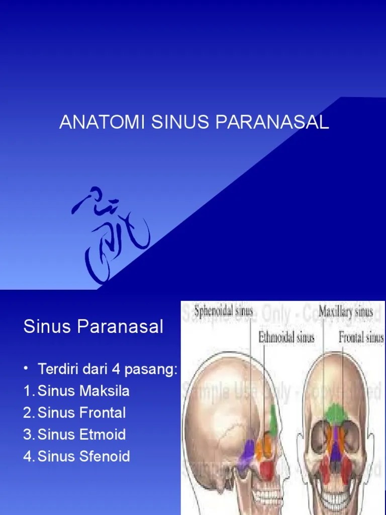 ANATOMI SINUS PARANASAL.ppt