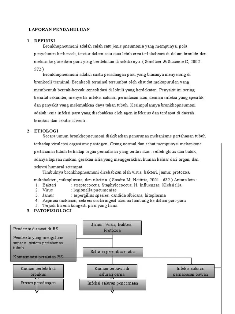 Lp Bronkopneumonia Pada Anak