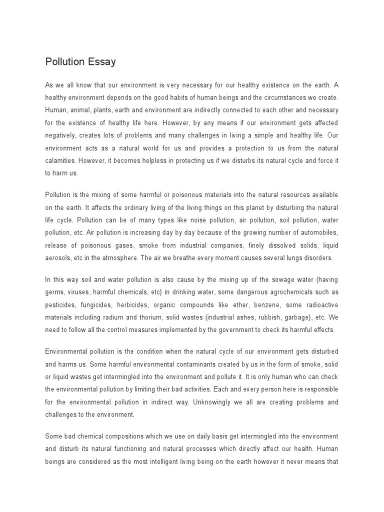 Pollution Essay Pollution Natural Environment