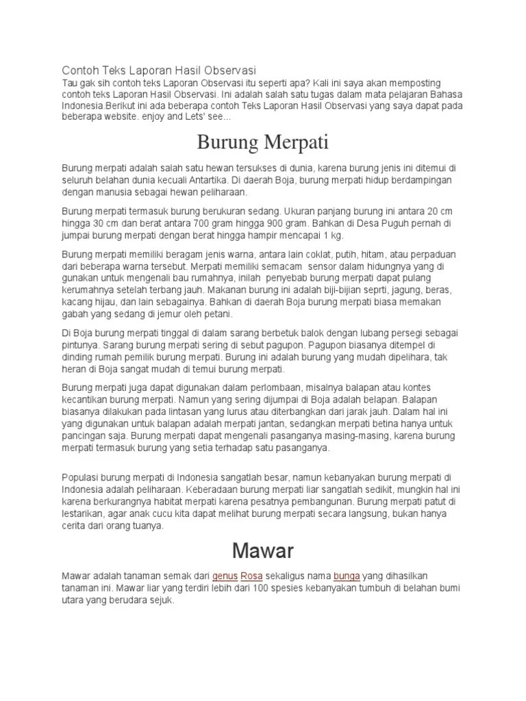 Contoh Teks Laporan Hasil Observasi Tentang Bunga Mawar Barisan Contoh