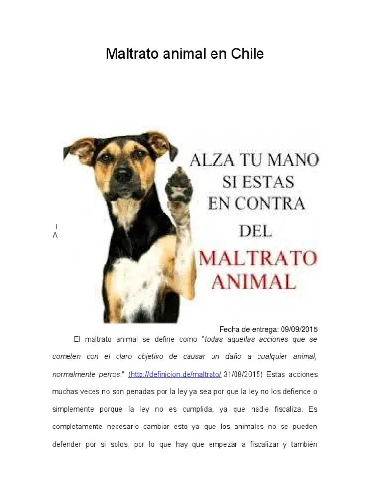 Ensayo Maltrato Animal en Chile PDF Crueldad hacia los animales