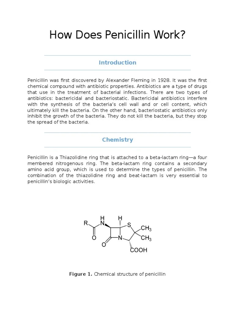 How Does Penicillin Work Penicillin Cell Wall