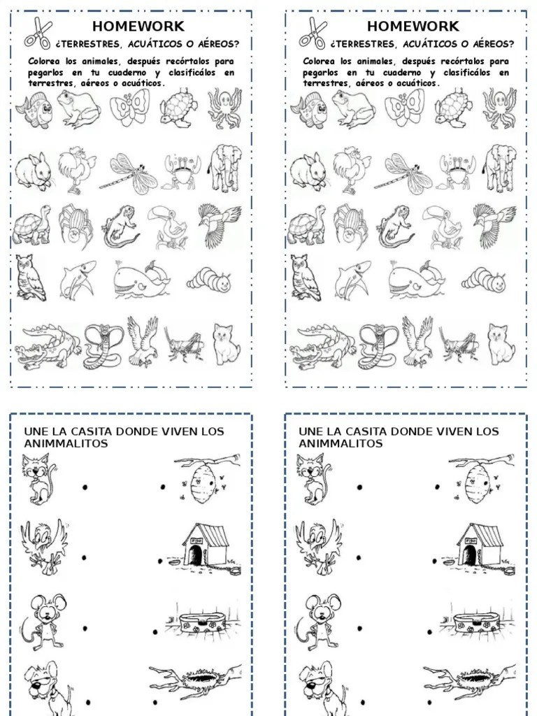 Animales Terrestres Acuaticos y Aéreos
