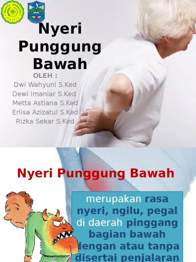 Penyuluhan Nyeri Pinggang Bawah | PDF