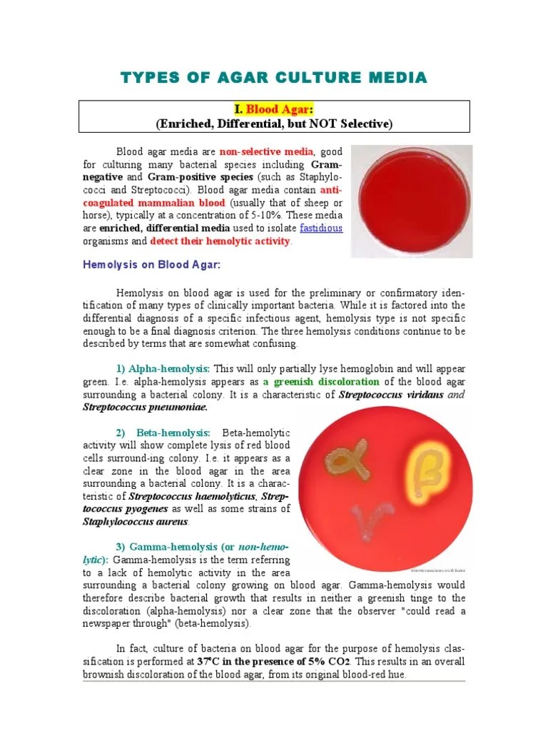 Culture Media Concept Map Microbiology Microbial Culture Media Streptococcus Gram Negative Bacteria